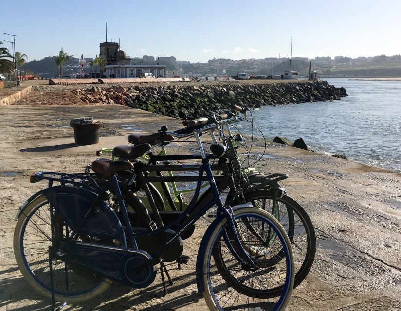 Porto: Riverside Panoramic E-Bike Tour - E-bikes, helmets, and real Porto surfaces