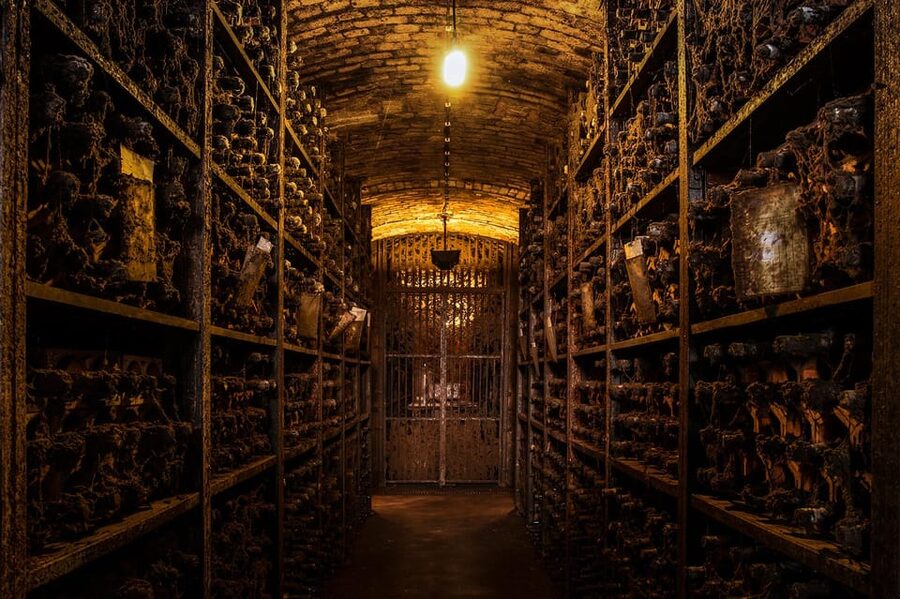 Porto: Royal Oporto Tour na Real Companhia Velha - Real Companhia Velha’s Gaia cellars: Port aging in constant darkness