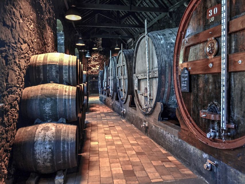 Porto: Self-Guided Bike and Boat Tour with Port Wine Tasting - Bike comfort, gear, and how this works for families