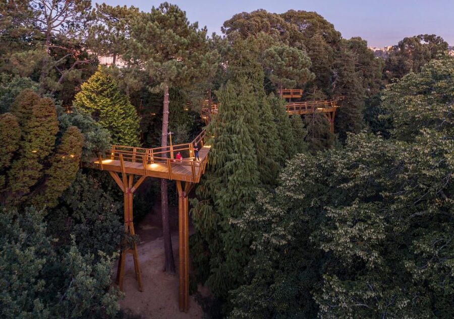 Porto: Serralves Park Entry Ticket - Why Serralves Park feels like countryside next to Porto