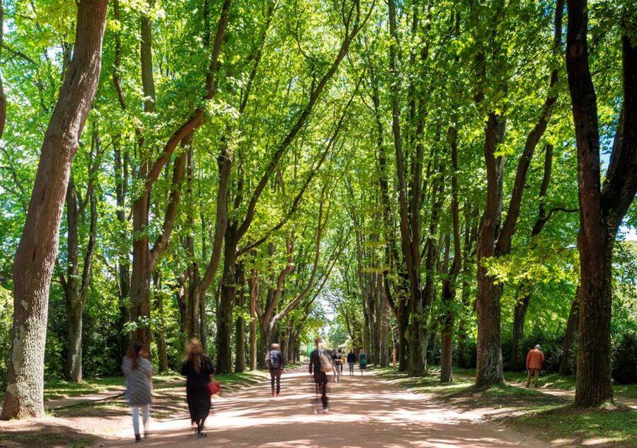 Porto: Serralves Park Entry Ticket - Wheelchair access and who this visit suits best