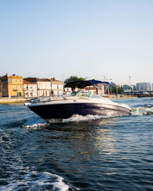 PORTO: Six Bridges Douro River Cruise with Wine and Snacks - Who This Cruise Suits Best (and Who Should Skip It)