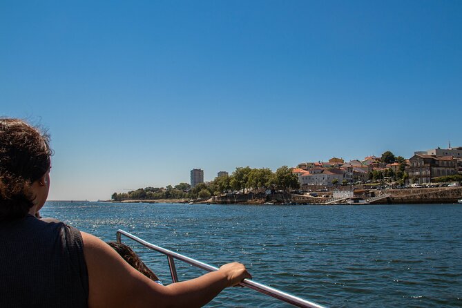 Porto Six Bridges Panoramic Cruise on the Douro River - Entering the Douro: why these bridges work better from water