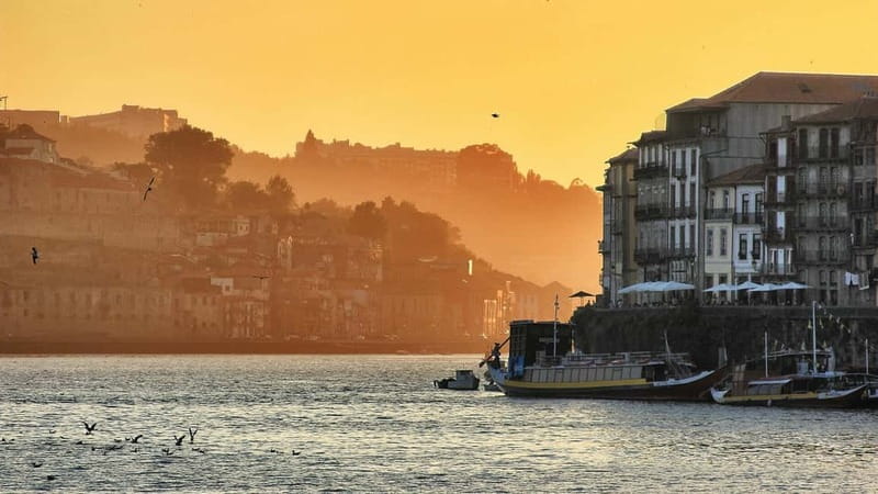 Porto: Sunset Cruise on the Douro River & Iconic Bridges - What the boat feels like: open-air comfort and windy-water reality