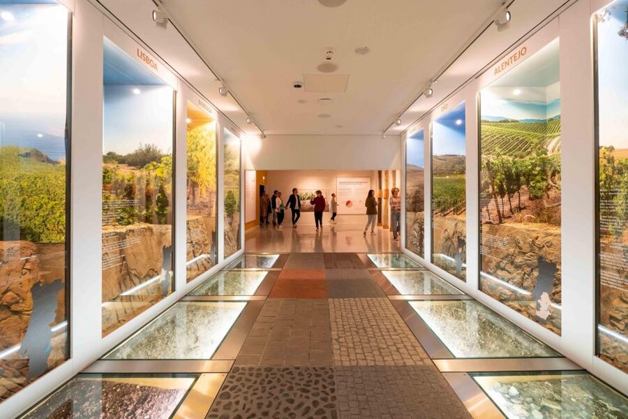 Porto: Taylor’s Port Cellar Tour & WOW Museum Pack - How the WOW Cultural District Shapes Your Day