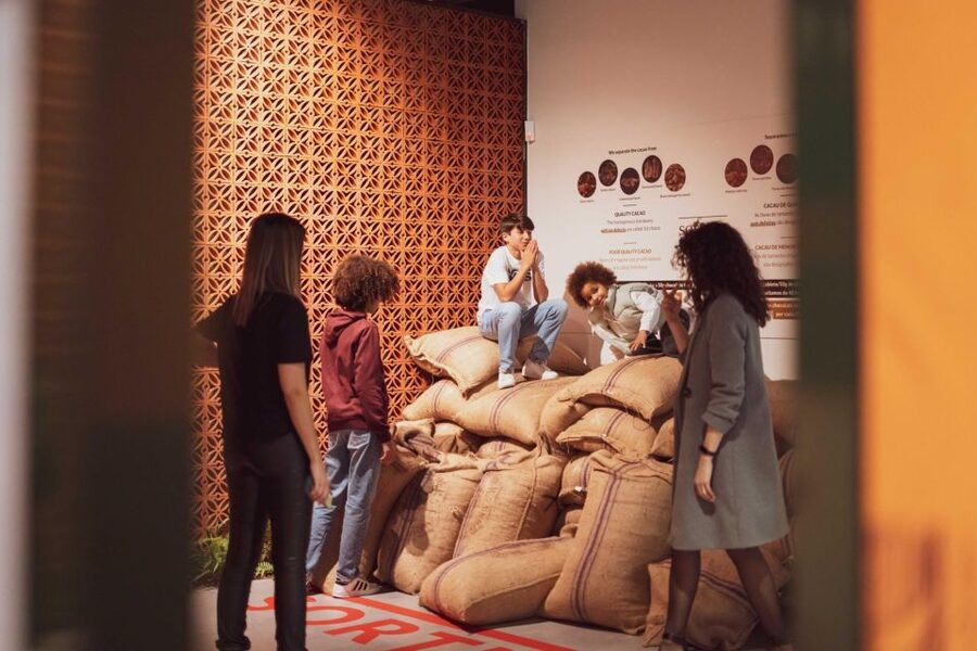 Porto: Taylor’s Port Cellar Tour & WOW Museum Pack - Should You Book This WOW + Taylor’s Port Cellar Pack?
