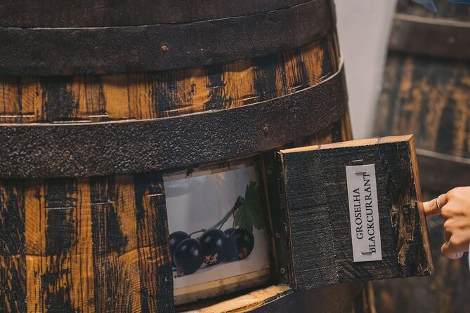 Porto: Taylor's Port Cellars Visit & Port Wine Tasting - Where You Start and How to Plan Your Walk