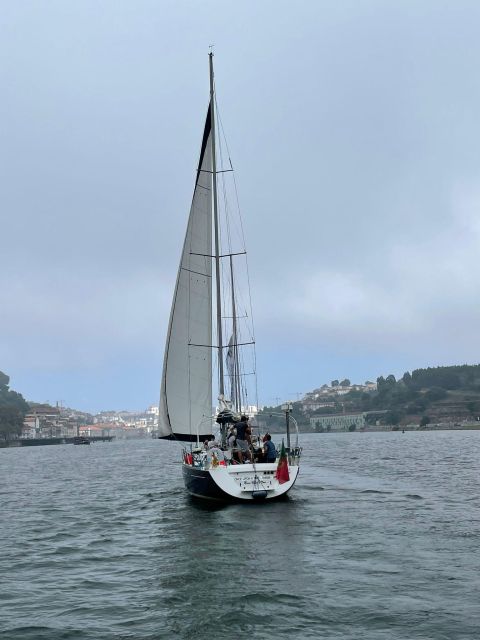 Porto: The Best Douro Boat Tour - Key Points You’ll Feel Right Away