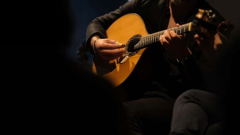 Porto: The highest-rated traditional fado concert (downtown) - The Music Setlist: 12 Fados, 2 Instrumentals, and Portuguese Guitar