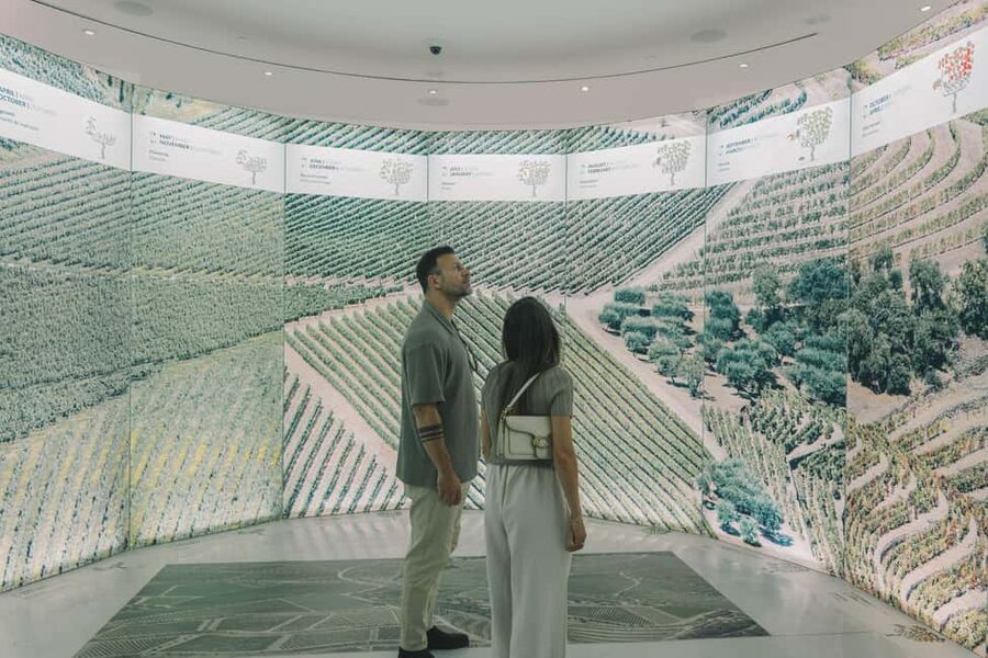 Porto: The Wine Experience, Best Wine Museum in the World - Who should book The Wine Experience, and who might want something else