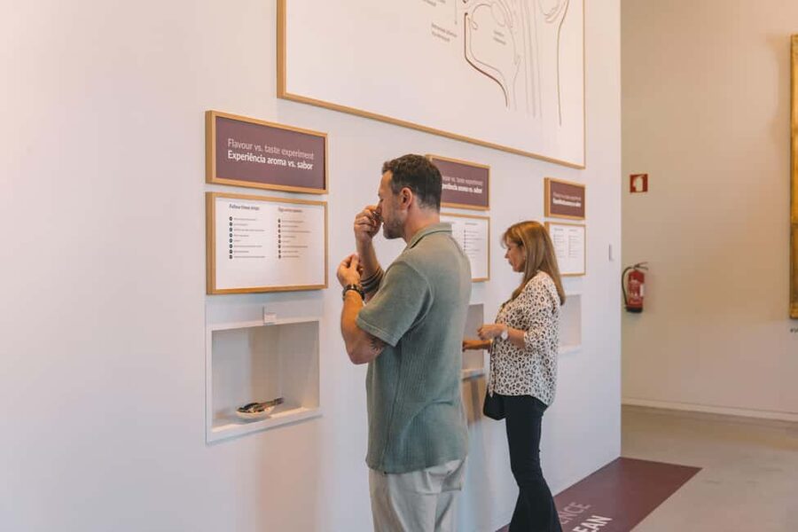 Porto: The Wine Experience, Best Wine Museum in the World - Finding WOW’s wine museum in Porto (and why that matters)