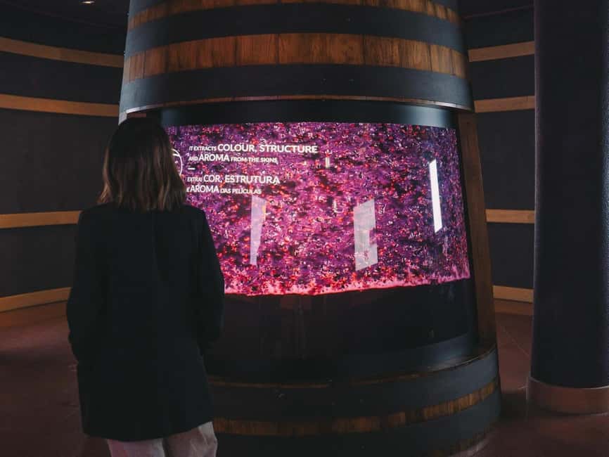 Porto: The Wine Experience, Best Wine Museum in the World - Interactive exhibits that teach you how to taste
