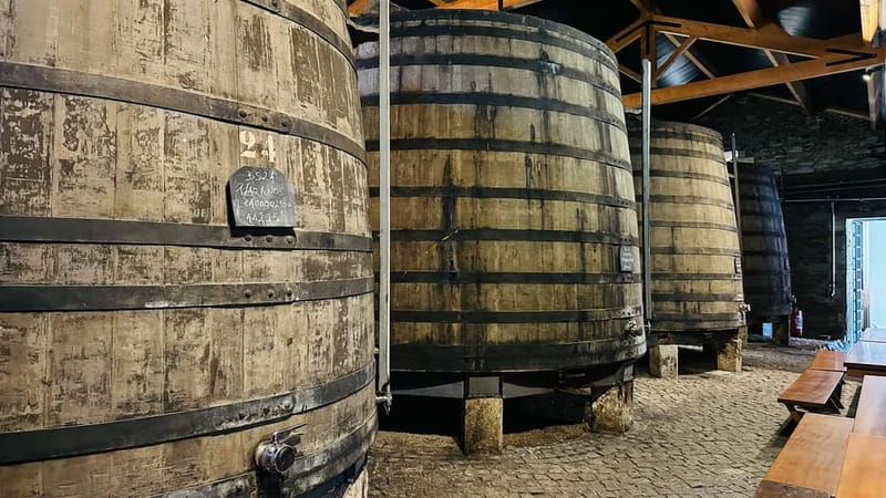 Porto to Gaia Experience: City Walk and Wine Cellars - Rua de Santa Catarina and the Chapel of Souls: photos without the time drain