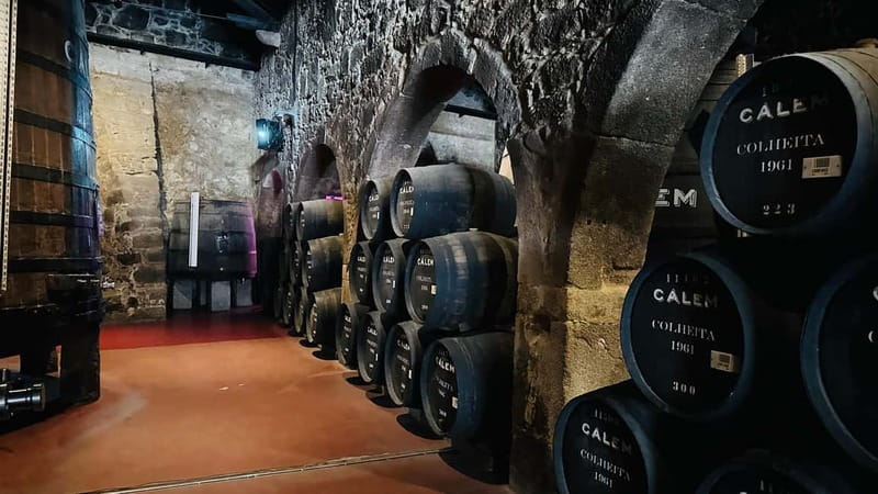Porto to Gaia Experience: City Walk and Wine Cellars - Porto City Hall, Bolhão Market, and the street-life in between