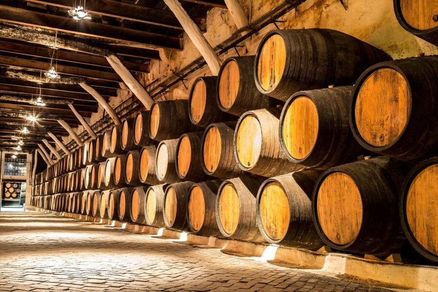 Porto: Tuk-Tuk Tour, Douro River Cruise, and Wine Tasting - Should you book Porto Tuk-Tuk + Douro cruise + Port tasting?