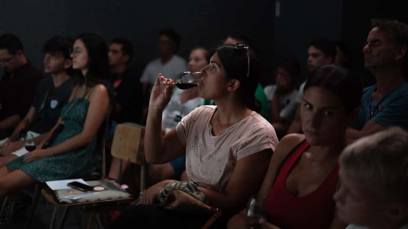 Porto: What is Fado? Commented Live Concert with Port Wine - Who should book this Fado na Baixa show