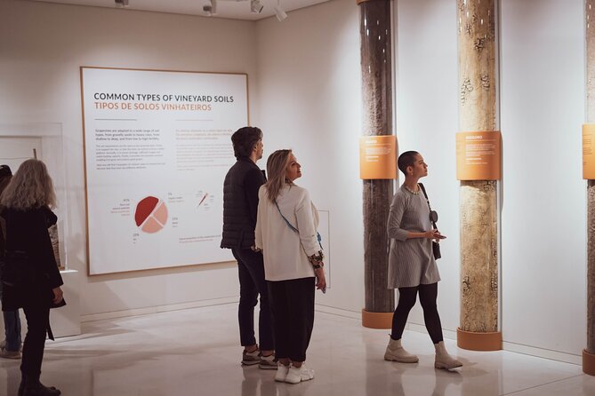 Porto: Wine Experience Museum with 3 Wine Tastings - Who should book this Wine Experience, and who might skip it