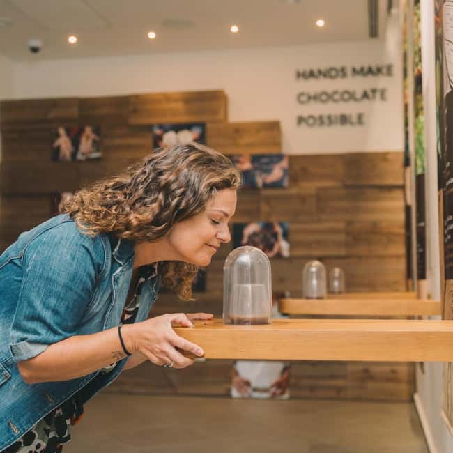 Porto: WOW Daily Ticket: Explore, taste & enjoy in 2 days - Cork Museum: Portugal’s sustainable material story in a modern setting
