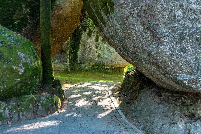 Portugal Origin Guimarães Private Tour - Penha Mountain: pilgrimage rocks and viewpoint time at Pio IX