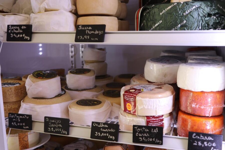 Portuguese Wine Tasting w Local Cheese & Cold Cuts pairing - Who should book this Portuguese wine and cheese pairing