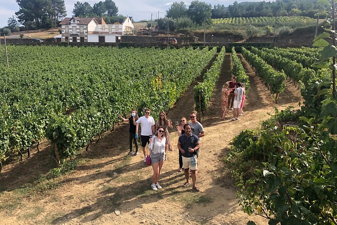Premium Douro Valley Small-Group Tour, Wine Tasting, Lunch & Boat - The best reason to do the Douro from Porto: less stress, more sequence