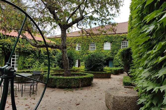 Premium Douro Valley Small-Group Tour, Wine Tasting, Lunch & Boat - Vilarinho de São Romão: table wines plus olive oil and honey
