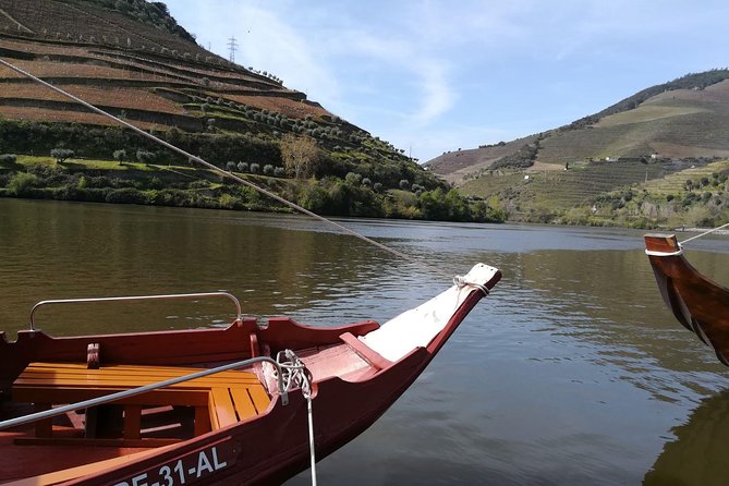 Premium Douro Valley Small-Group Tour, Wine Tasting, Lunch & Boat - The guide is the engine: how tour personalities shape the day