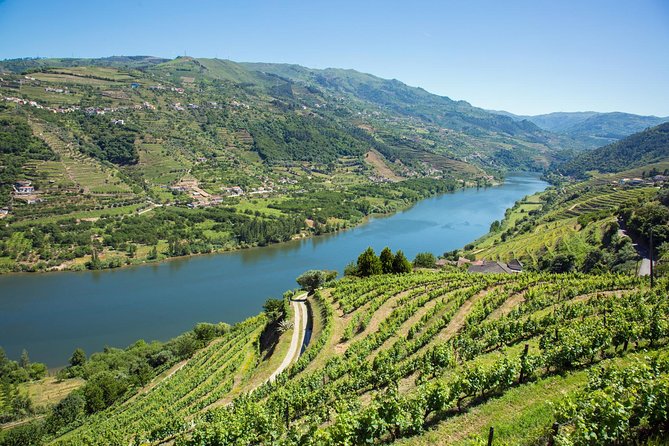 Premium Douro Valley Small-Group Tour, Wine Tasting, Lunch & Boat - Casa dos Barros lunch: a winery meal with real menu choices