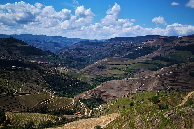 Premium Private Douro Tour: 3 Wineries with Tastings & Lunch - Quinta de Tourais: learning Douro DOC and Port without turning it into a lecture