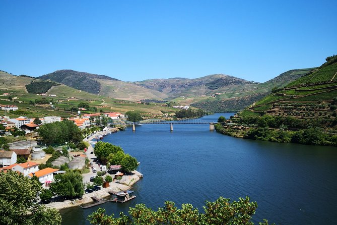 Premium Private Douro Tour: 3 Wineries with Tastings & Lunch - Quinta Seara d’Ordens: the final estate, the river road, and the olive oil angle