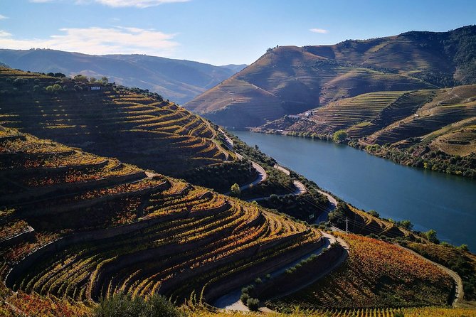 Premium Private Douro Tour: 3 Wineries with Tastings & Lunch - What you’re really paying for: 3 wineries, lunch pairing, and guided meaning