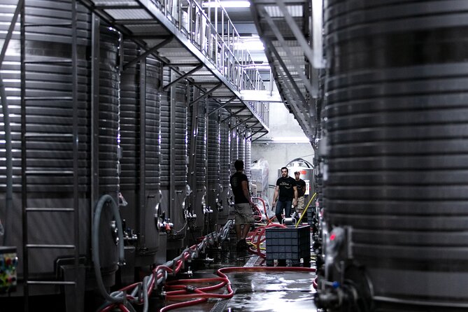 Premium Private Vinho Verde Tour:3 Wineries with Tastings & Lunch - Winery tastings with guided vineyard and cellar visits