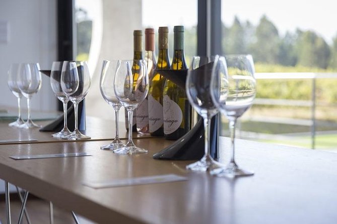 Premium Private Vinho Verde Tour:3 Wineries with Tastings & Lunch - What you’ll actually see and taste (and what to pay attention to)