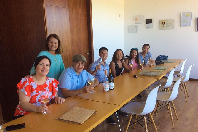 Premium Private Vinho Verde Tour:3 Wineries with Tastings & Lunch - Price and value: what $474.33 buys you in real terms