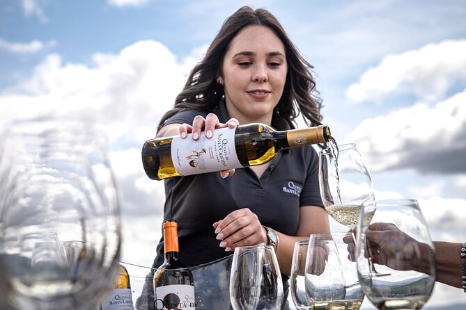 Premium Tasting | Quinta de Santa Cristina Vinho Verde - Inside the winery: from grapes’ reception to bottling and labeling