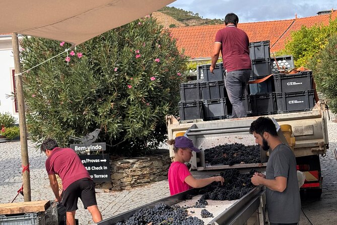 Private 4wd adventure in DE Douro: lunch, wine tasting and boat - Pickup and start time: the day runs on a 9:00 AM clock