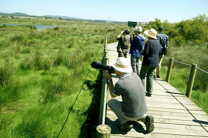 Private Birdwatching from Porto - Your guides: bird specialists with a wildlife-photographer mindset