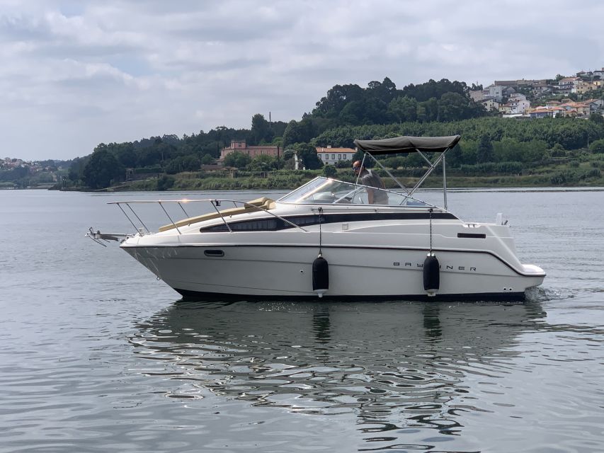 Private Cruise in Rio Douro - 2 hours - Up to 8 Passengers - Key highlights at a glance