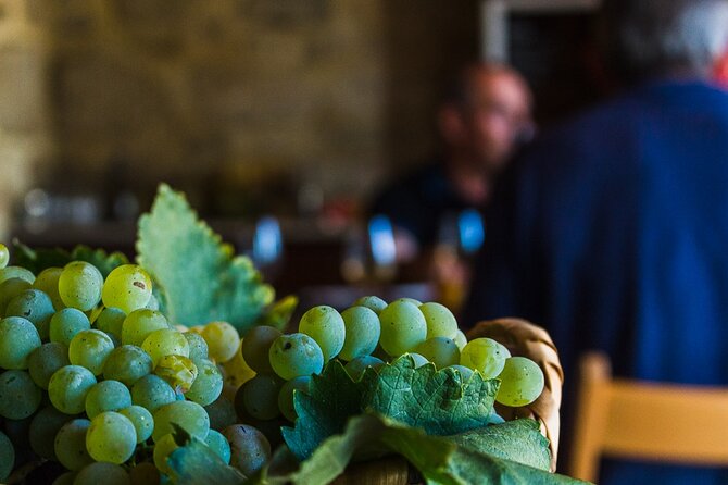Private Culture and Wine Tourism Tour - Who this tour suits best