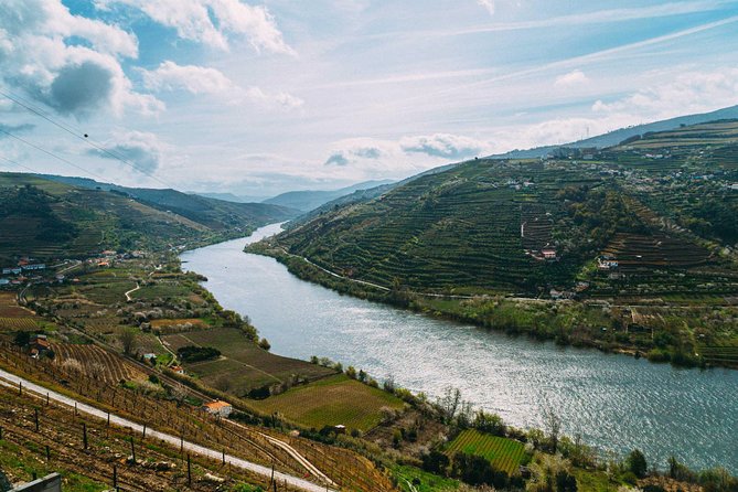 PRIVATE Day Trip Through Enchanting Douro Valley by Car & Boat - Quinta do Infantado: the family winery tasting in the Cima Corgo zone