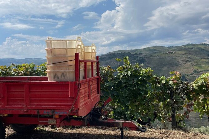Private Douro 4x4 Adventure from Porto with Deluxe Pic nic - Quinta Time: Winery Visit, Port, and Wine Tasting