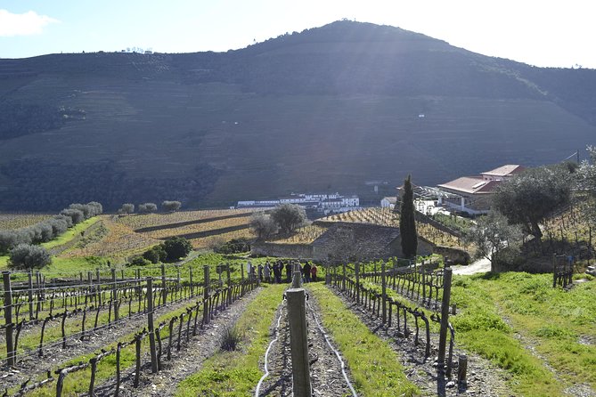 Private Douro 4x4 Adventure from Porto with Deluxe Pic nic - The Roads Less Traveled: Mild Off-Road in a 4x4