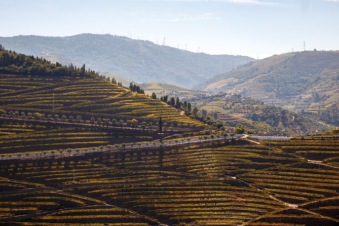 Private Douro 4x4 Adventure from Porto with Deluxe Pic nic - Miradouro de São Leonardo de Galafura: Picnic Views and Timing