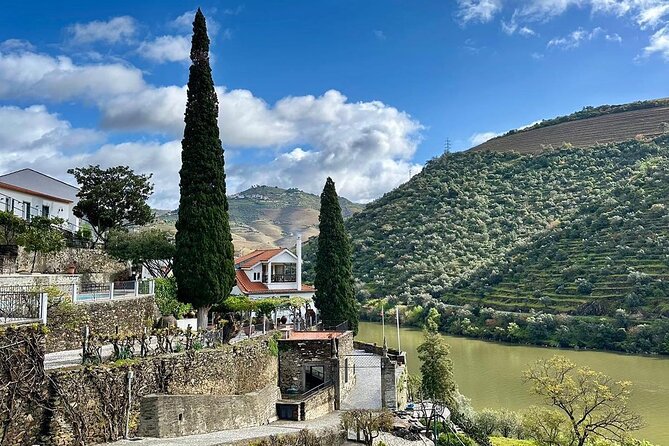 Private Douro Valley, 2 wine tastings and boat tour - Lunch and Snacks: The One Missing Piece