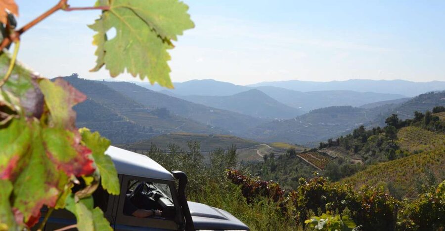 Private Douro Valley 4WD Tour with Wine Tasting and Picnic - Why a 4WD Douro Day Beats the Usual Tour Loop