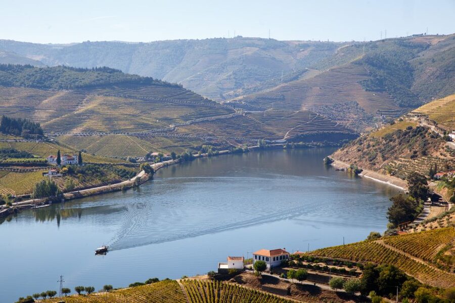 Private Douro Valley 4WD Tour with Wine Tasting and Picnic - Wine, Time, and Comfort: How to Plan Your 9 Hours