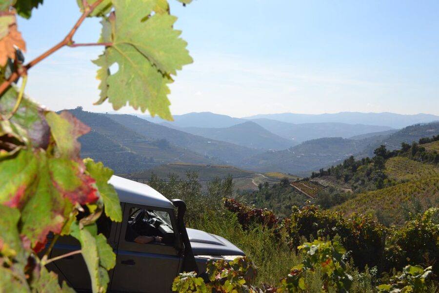 Private Douro Valley 4WD Tour with Wine Tasting and Picnic - The Porto Pickup and the Ridge Stops You’ll Remember