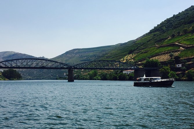 Private Douro Valley Food and Wine Tour From Porto - Sabrosa: lunch with winery views plus port tasting in the cellar