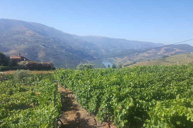 Private Douro Valley - Senses Experiences - Choosing where you break in the Douro: Mesão Frio, Régua, or Pinhão