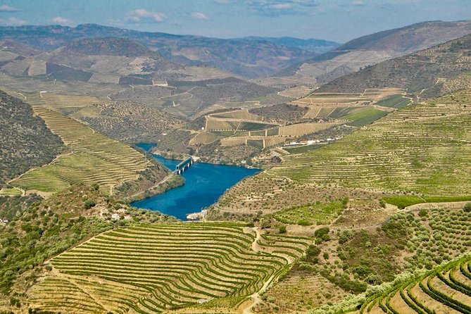 Private Douro Valley - Senses Experiences - Wine estates and tastings: what’s arranged vs. what may cost extra